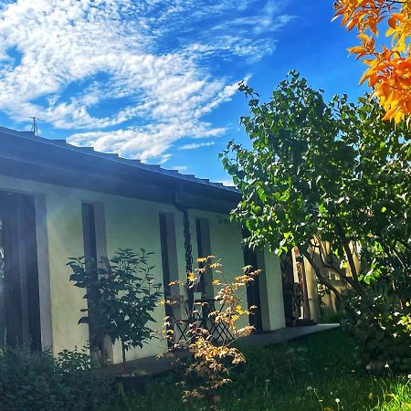 #Outofboxproject Tiny-Home And Garden House Timişoara Exterior foto