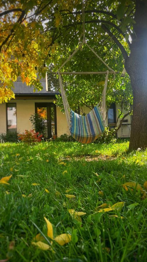 #Outofboxproject Tiny-Home And Garden House Timişoara Exterior foto